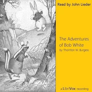 Adventures of Bob White