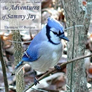 Adventures of Sammy Jay