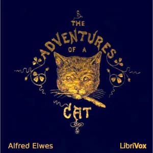 Adventures of a Cat, and a Fine Cat Too!
